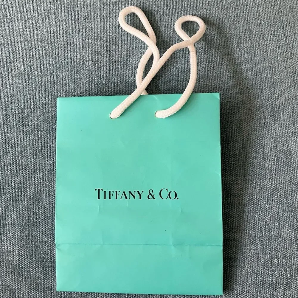 Tiffany & Co. Shopping Gift Bag